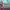 The Tipsy Tourist: Christmas Vacation – Hold & Win™