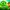 4 Fortune Clovers