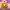 Helios – Triple Sun
