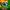 Crazy Hunter: Zombie Rush