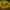 Mighty Hot™: Amazonia Burning Board™