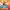 Vikings go to Hollywood Wild Fight™ RushingWilds™