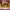 Troyan Gems