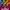 888 Dragons