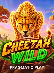 Cheetah Wild
