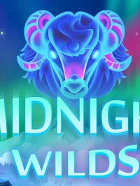 Midnight Wild